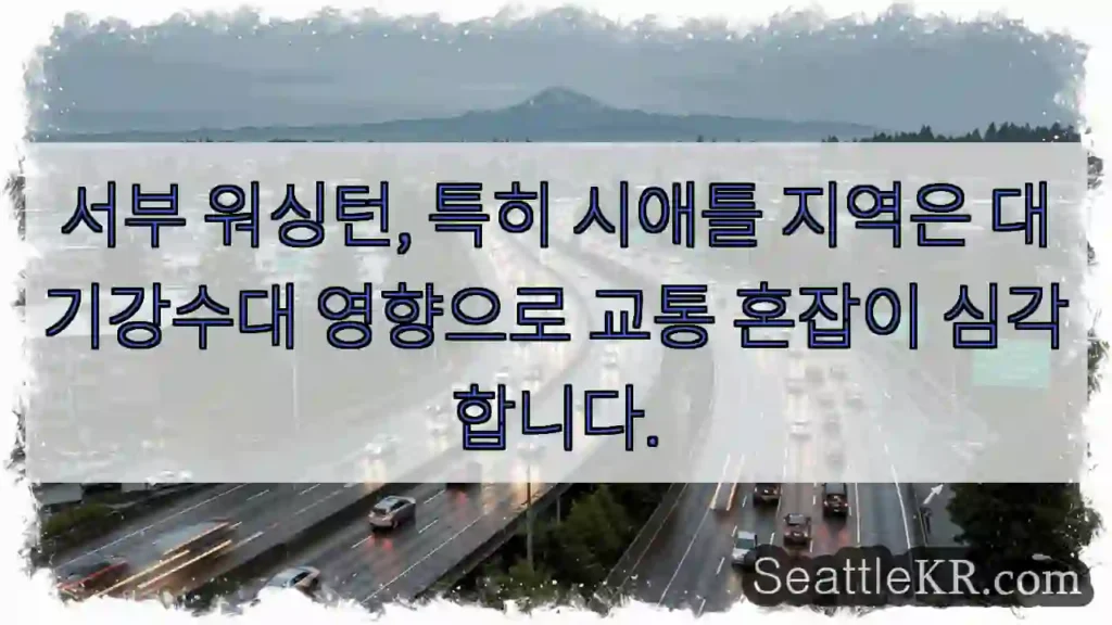 교통 혼잡이 심각해요!