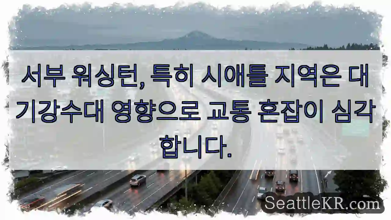 교통 혼잡이 심각해요!