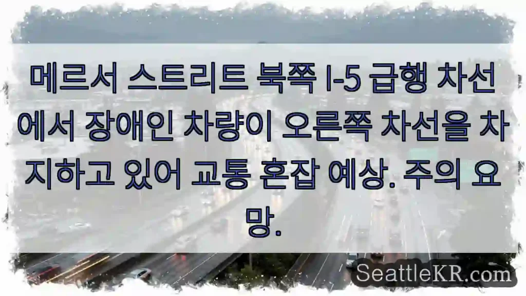 장애인 차량, 1차선 이용 중