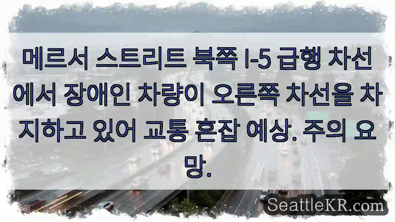 장애인 차량, 1차선 이용 중