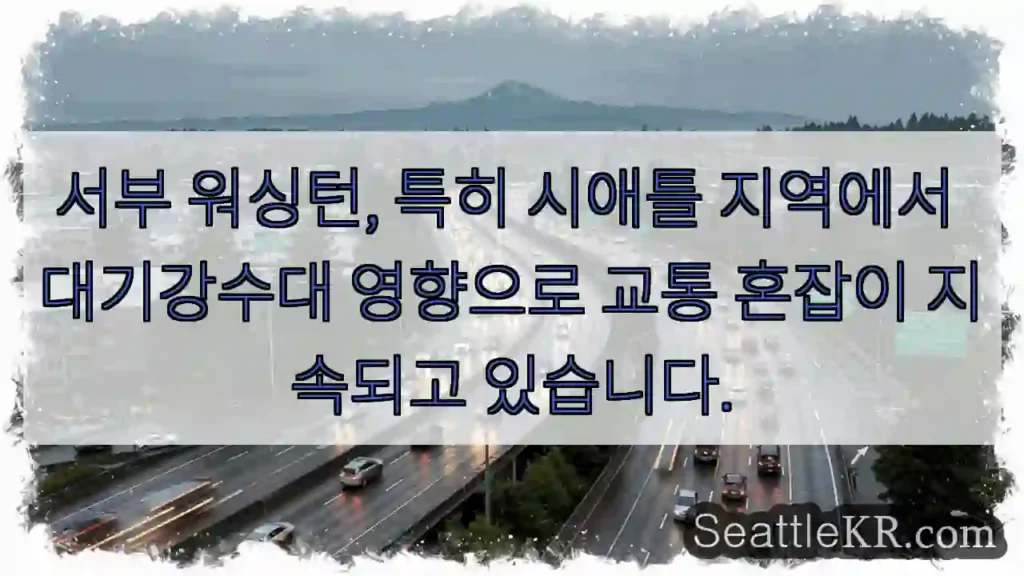 교통 혼잡 주의! 강수 영향