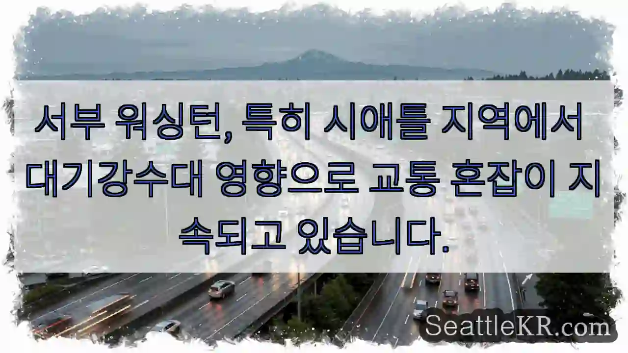 교통 혼잡 주의! 강수 영향