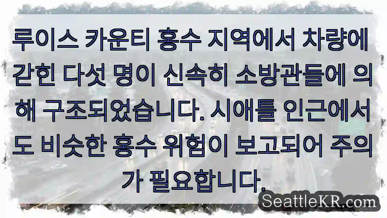 구난! 루이스 카운티 침수 지역