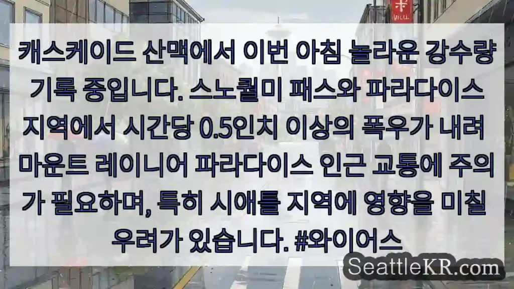 폭우 경고! 캐스케이드