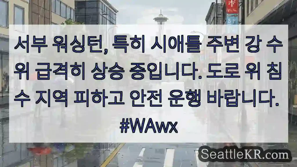 강수 급격히 상승! 안전 운행하세요.