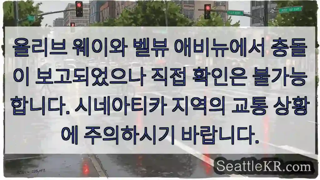 사고 주의! 올리브/벨뷰
