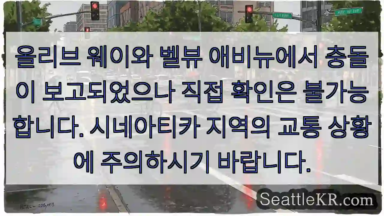 사고 주의! 올리브/벨뷰