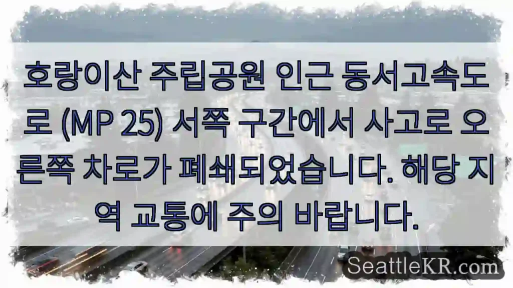 사고 구간, 차로 일방 통행!