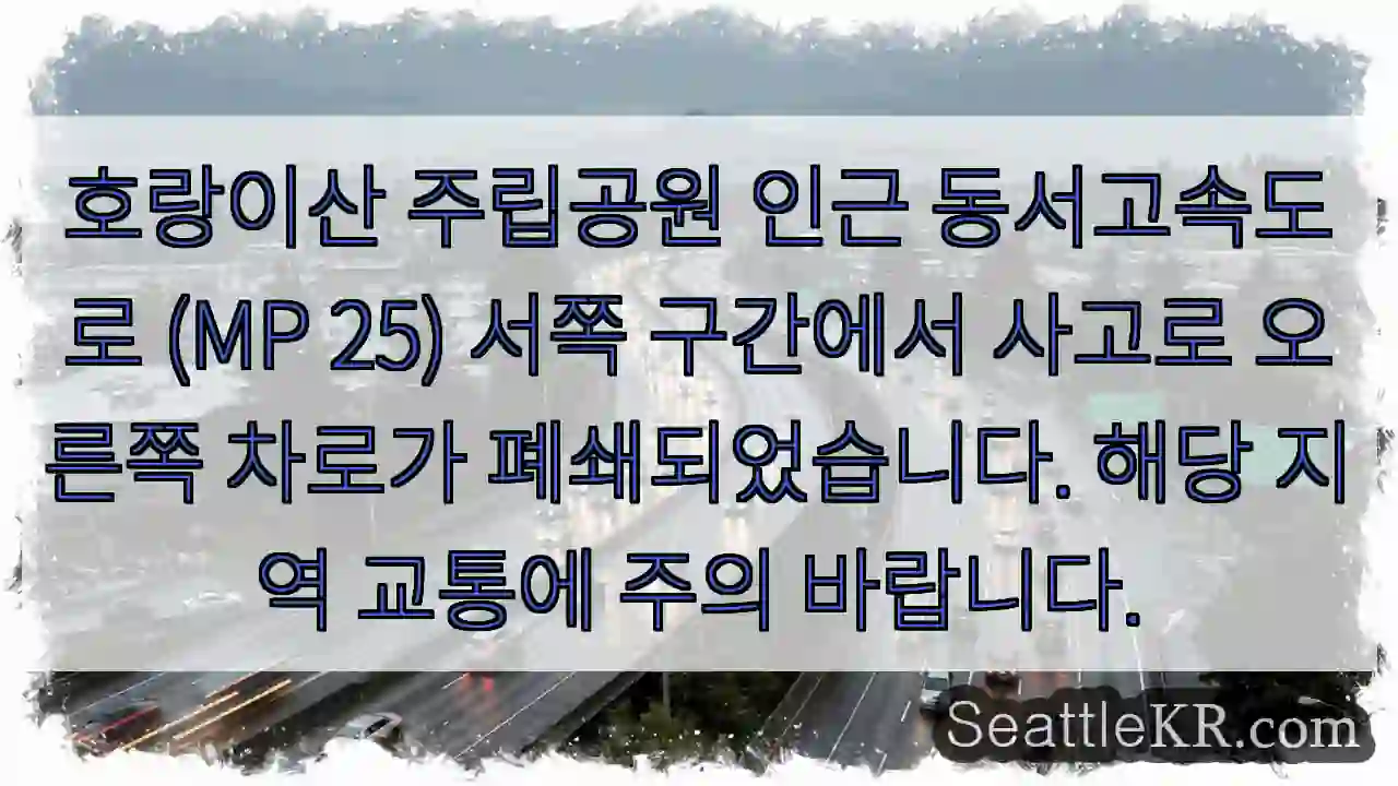 사고 구간, 차로 일방 통행!