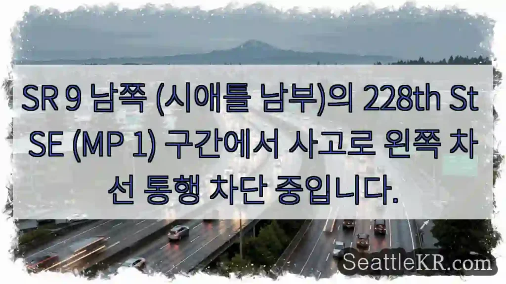 사고! 왼쪽 차선 막힘