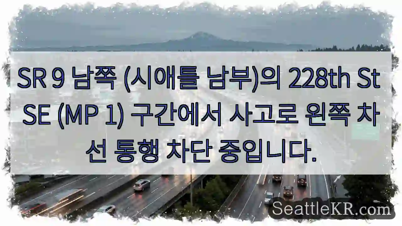 사고! 왼쪽 차선 막힘