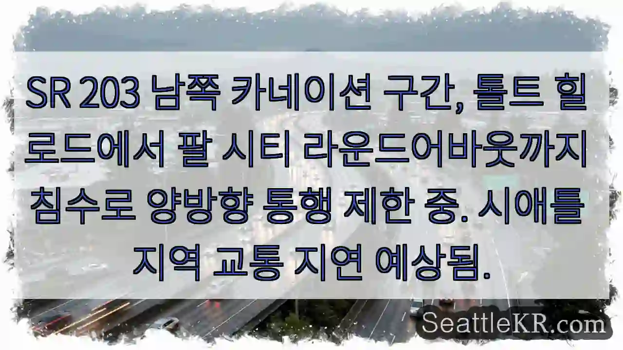 남쪽 카네이션 침수, 통행 제한!