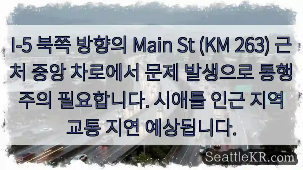 중앙 차로 통행 주의!