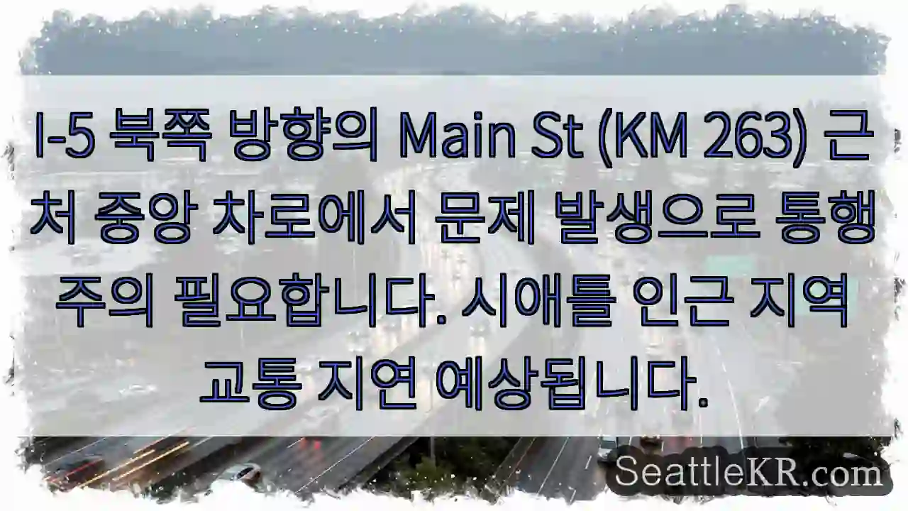 중앙 차로 통행 주의!