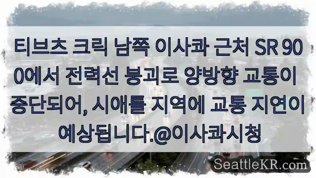 전력선 붕괴! 교통 중단 주의