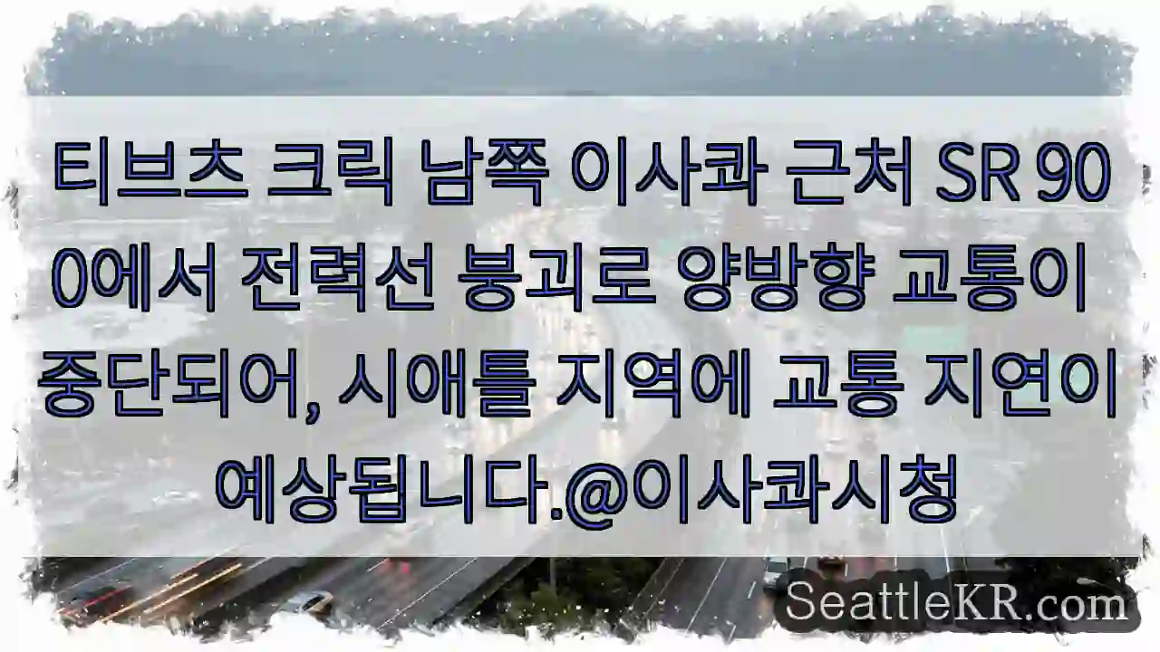 전력선 붕괴! 교통 중단 주의