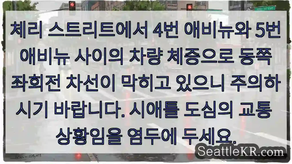 체리 스트리트 체증 주의!