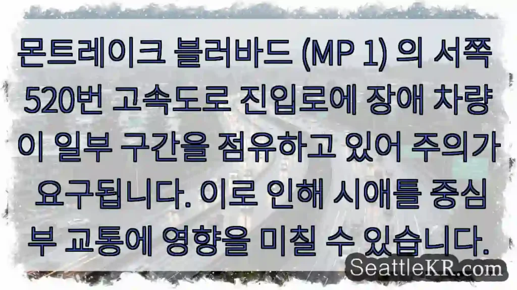 장애 차량! 주의!