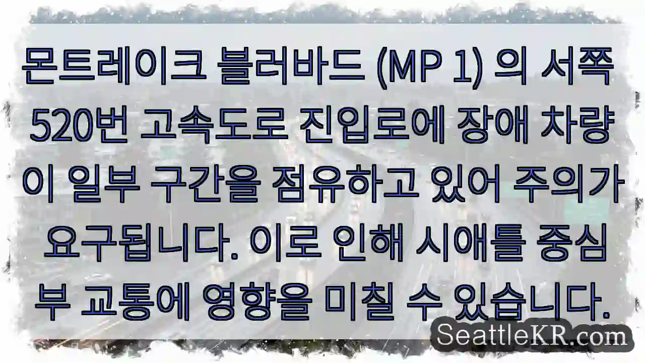 장애 차량! 주의!