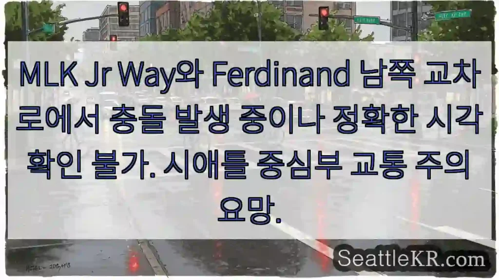 충돌! MLK Jr Way &amp; Ferdinand 교차