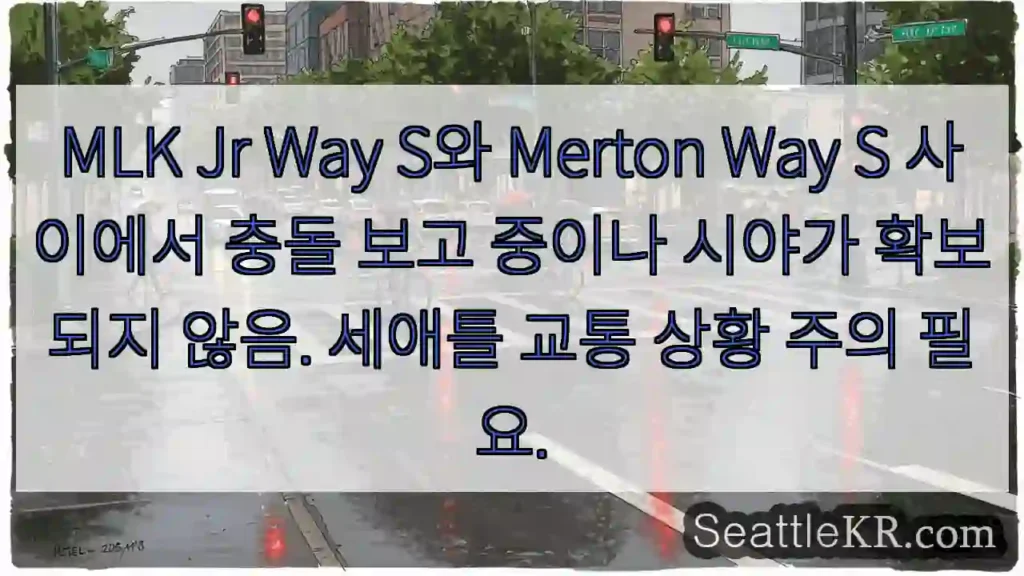 시야 흐림! 충돌 주의