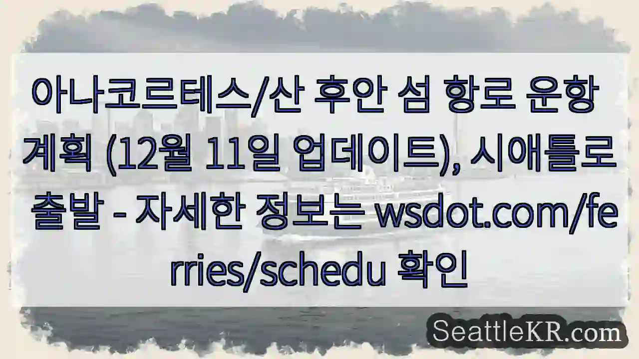 아나코르테스/산 후안 섬 항로 ⏳ 업데이트