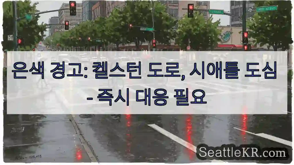 ⚠️ 켈스턴 도로 즉시 점검!