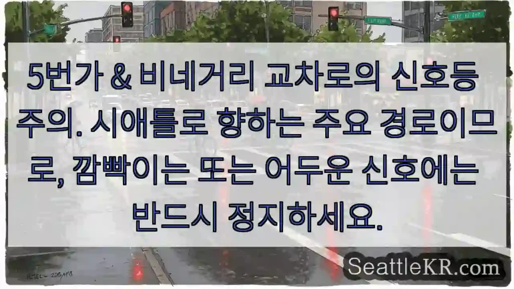 신호등 주의! 정지!