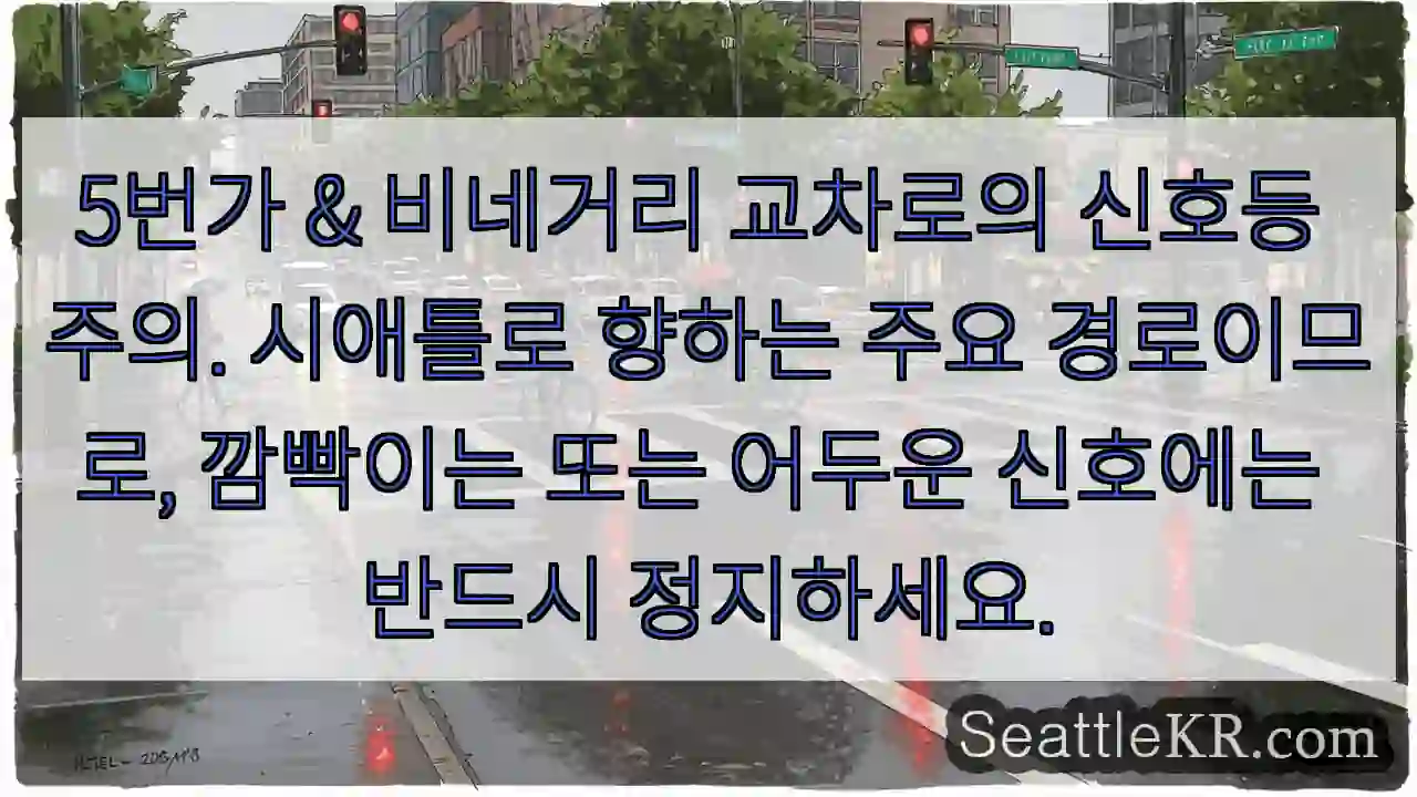 신호등 주의! 정지!