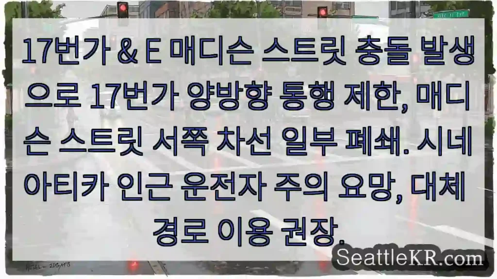 17번가 교통 통제 중! 주의 필요