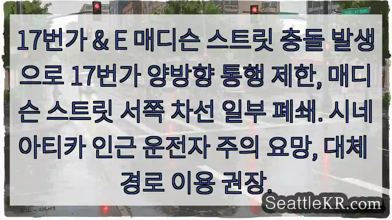 17번가 교통 통제 중! 주의 필요