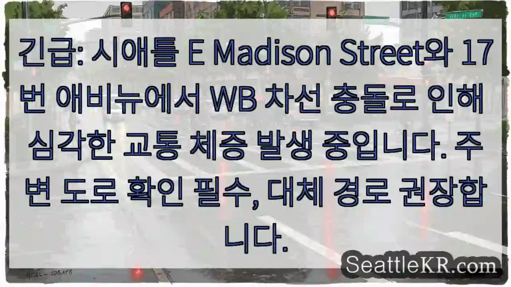 E Madison &amp; 17번 충돌, 심각한 정체!