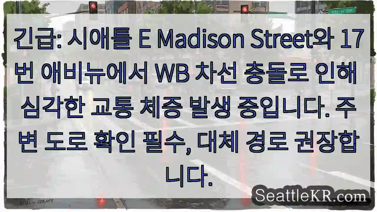 E Madison & 17번 충돌, 심각한 정체!