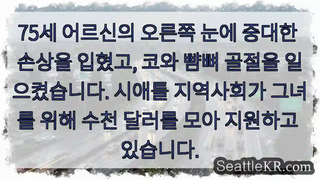 큰 사고로 어르신 어려움