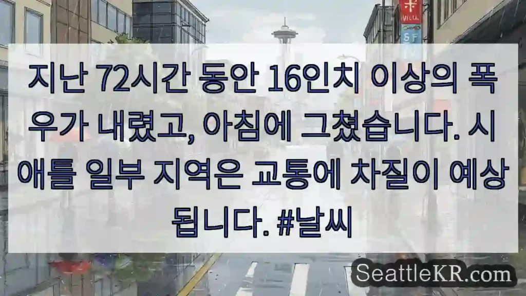 시애틀 날씨뉴스 1 폭우 후 맑음! 주의!