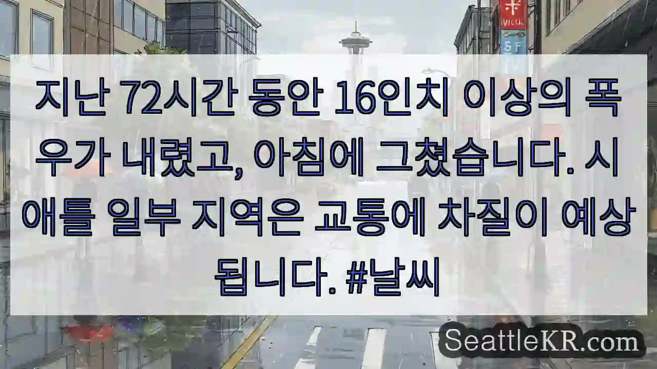 시애틀 날씨뉴스 2 폭우 후 맑음! 주의!