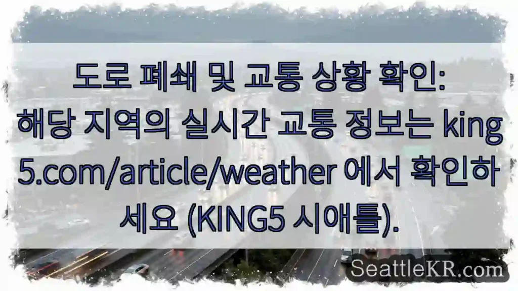 교통 상황 확인!