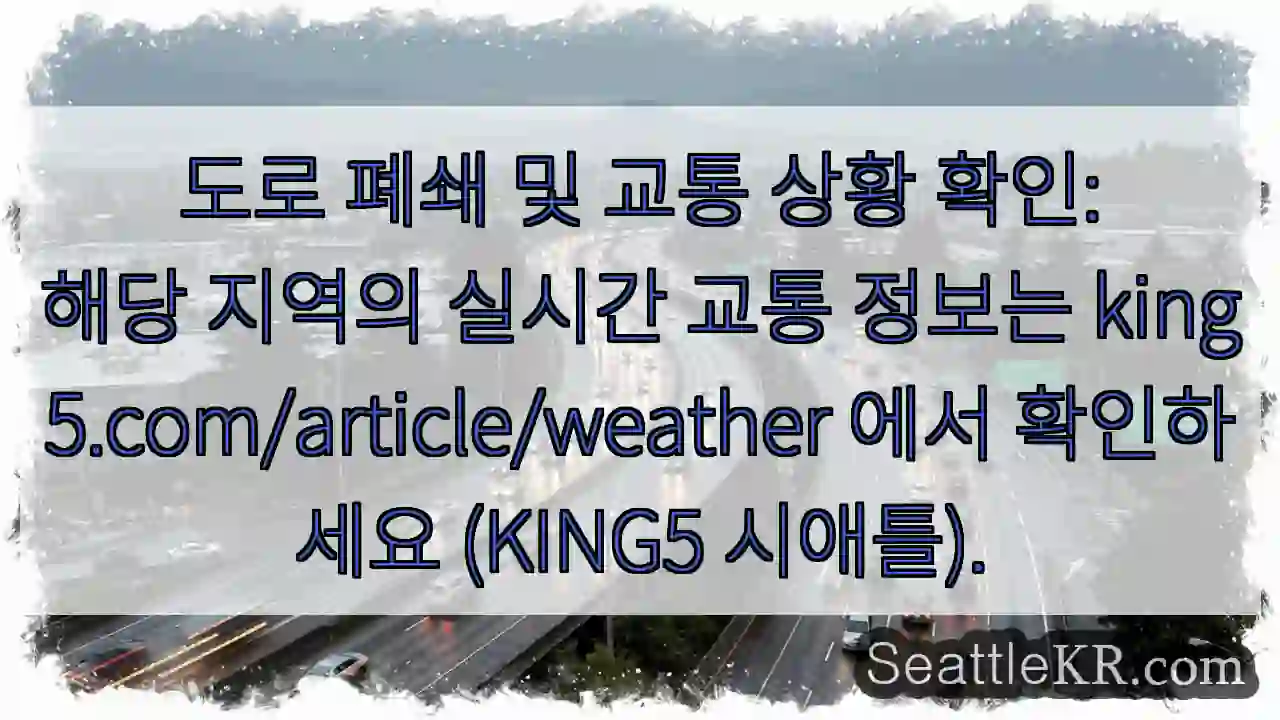 교통 상황 확인!