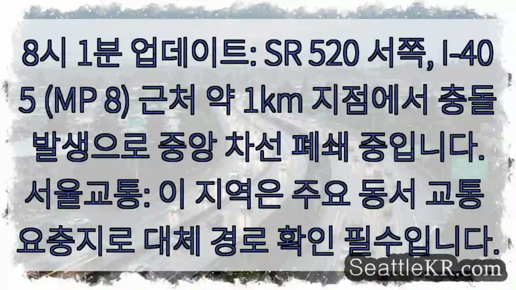 중央차선 막힘: 대체 경로 확인