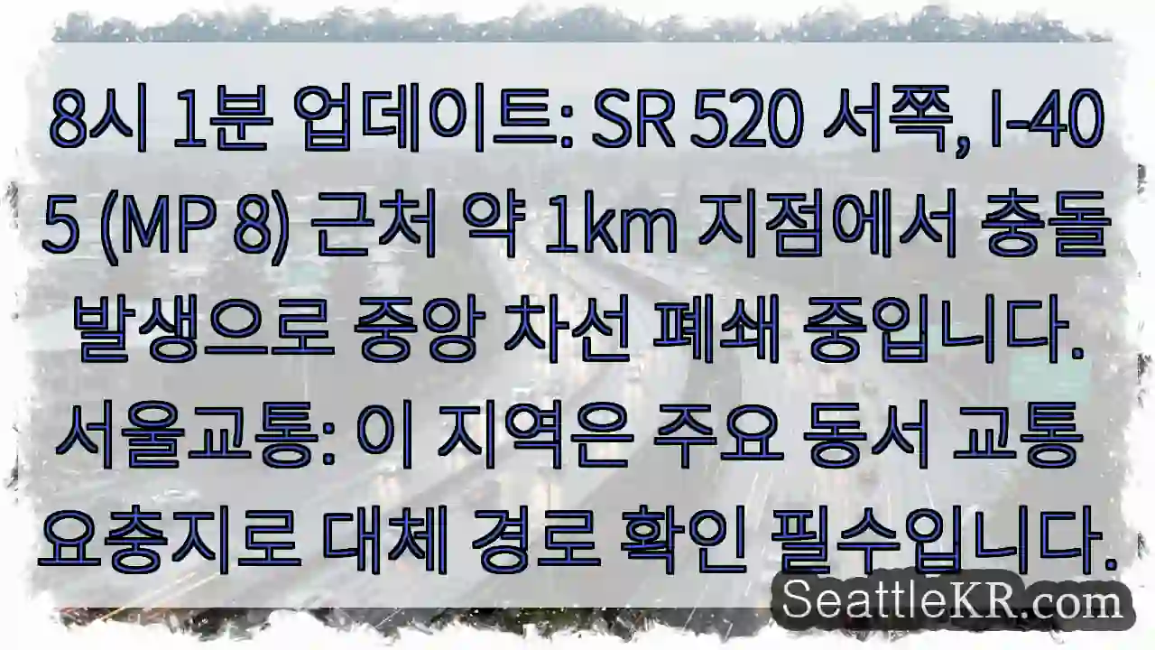 중央차선 막힘: 대체 경로 확인