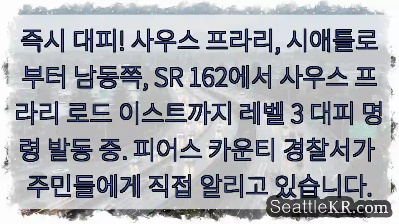 즉시 대피! 레벨 3 경보