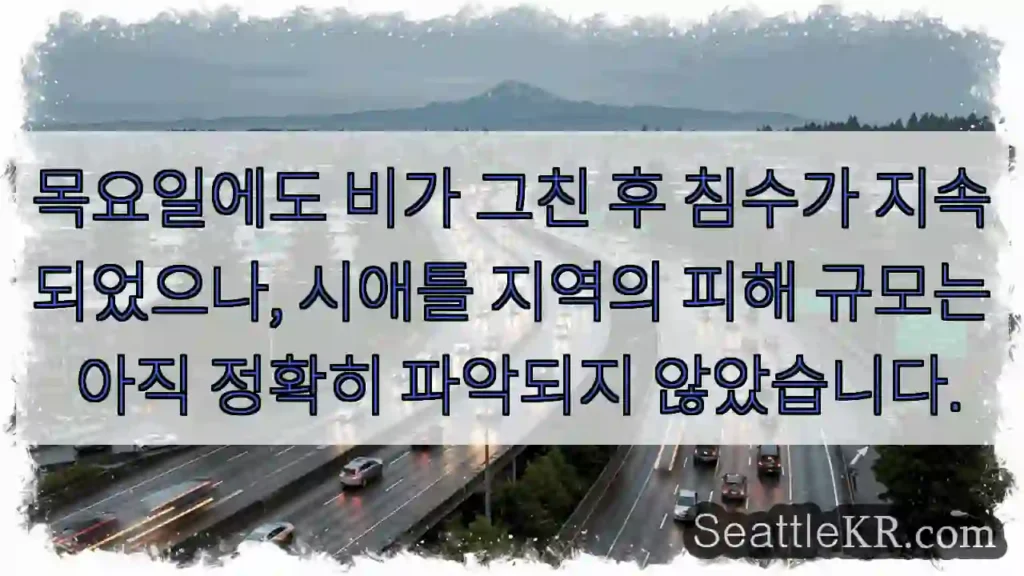 침수 지속, 피해 확인 중