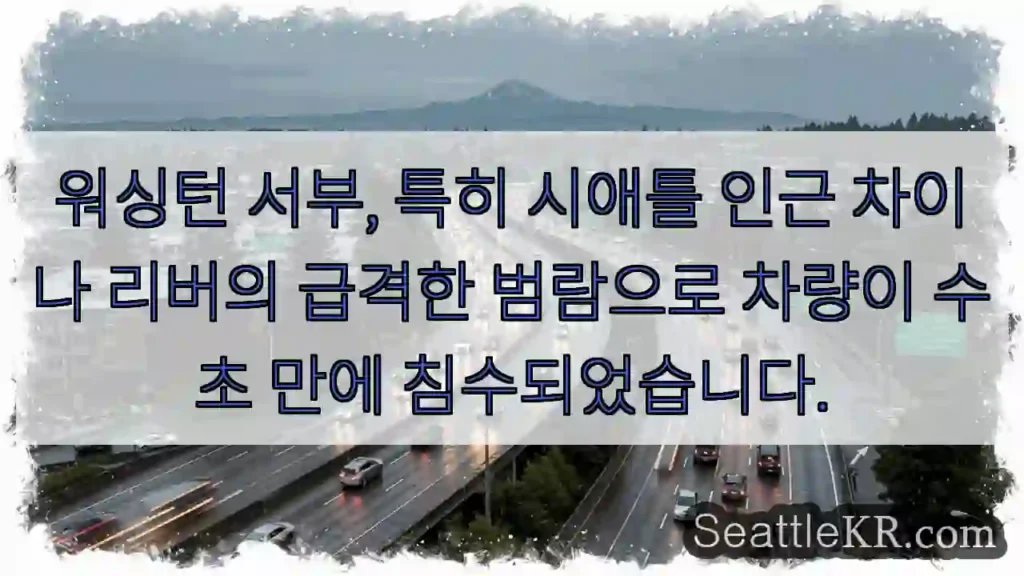 차이나 리버 범람! 침수 위험!