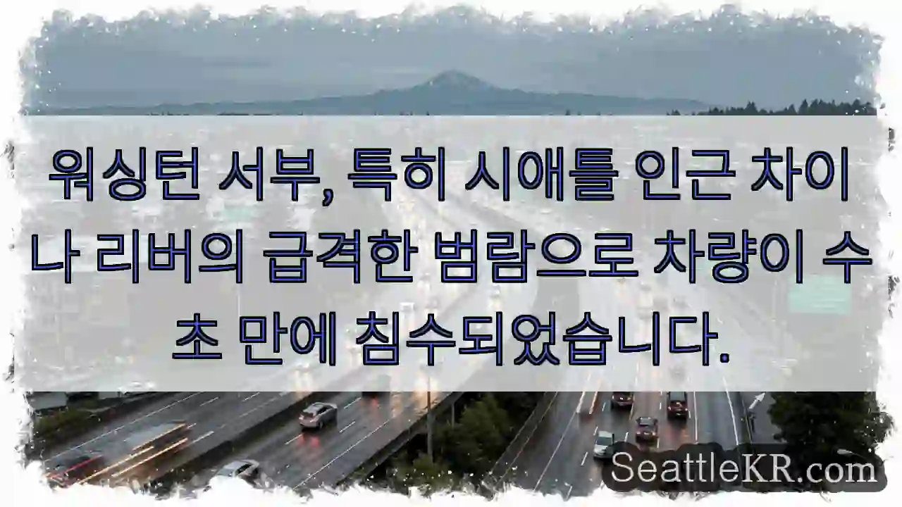 차이나 리버 범람! 침수 위험!