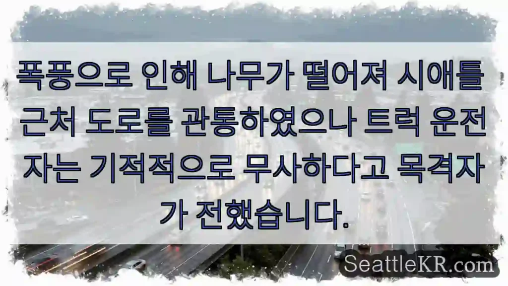 나무 넘어짐! 기적의 생존!