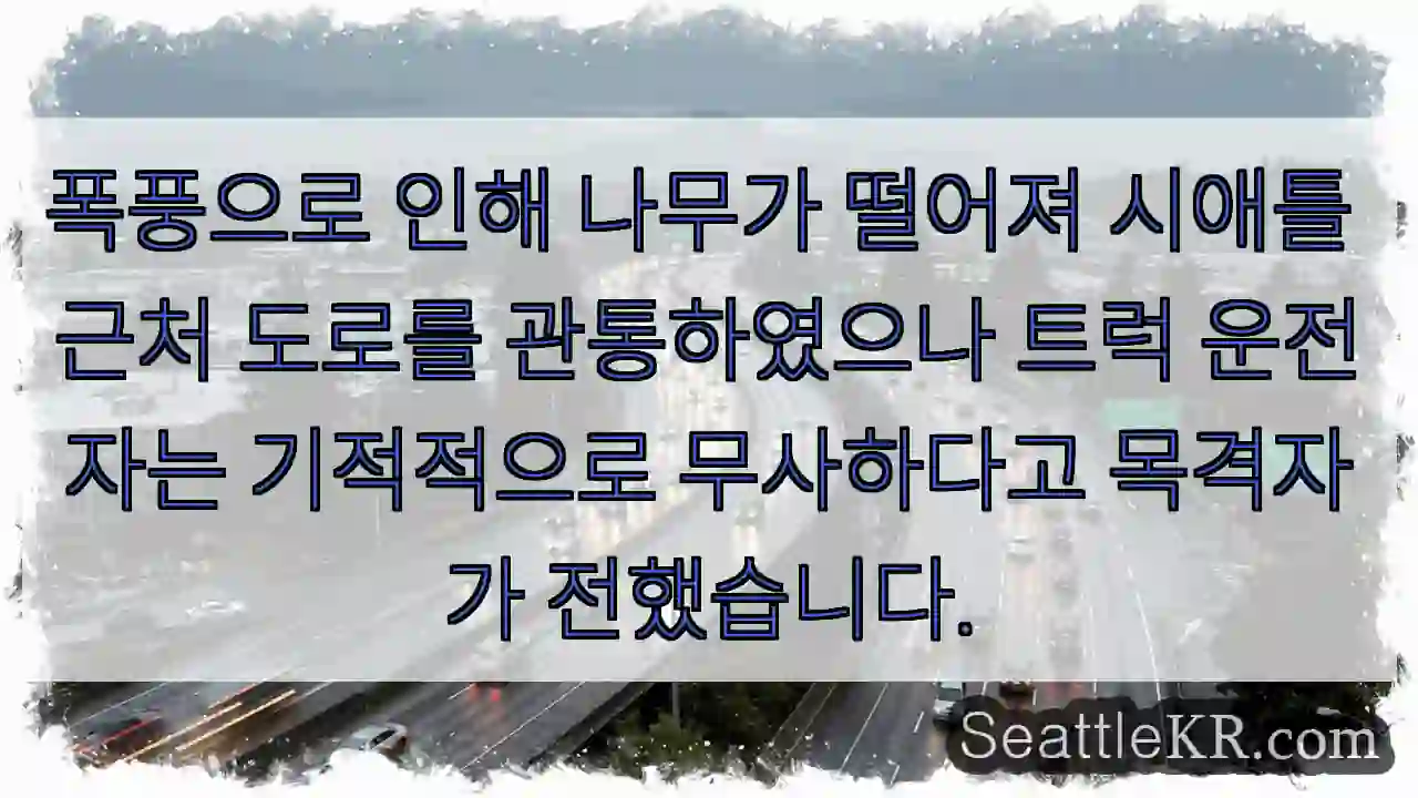 나무 넘어짐! 기적의 생존!