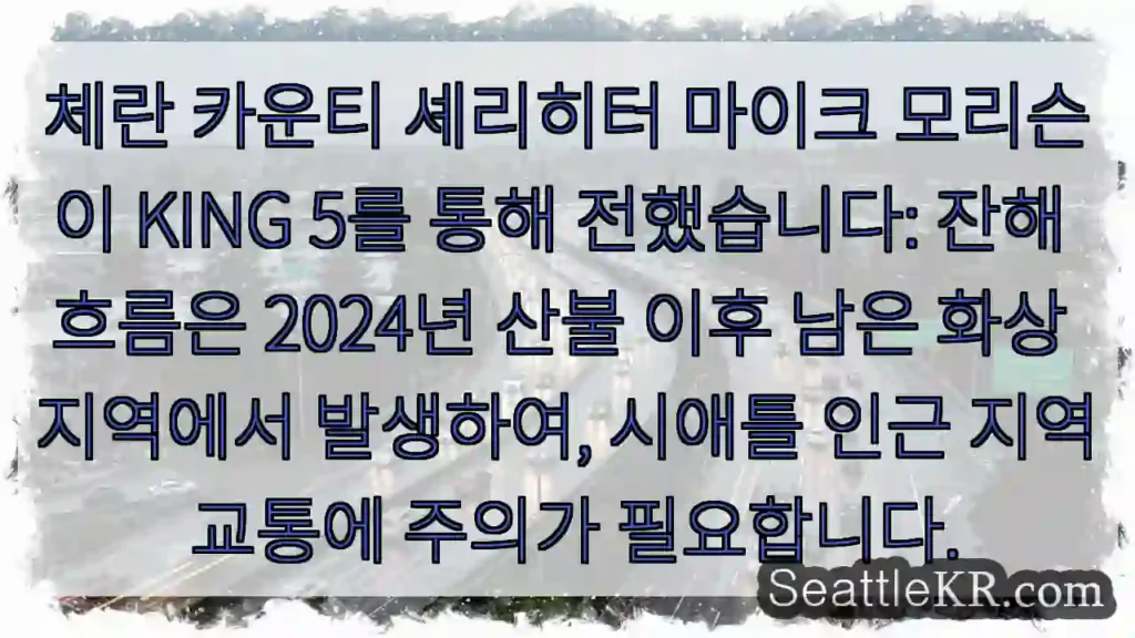 화상 지역 잔해 주의!