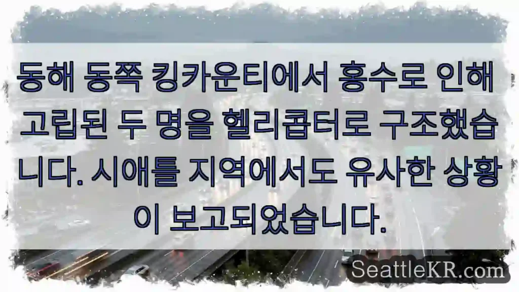 헬리콥터로 고립자 구조