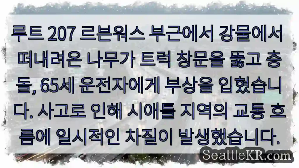 나무 트럭 뚫고 충돌! 부상!