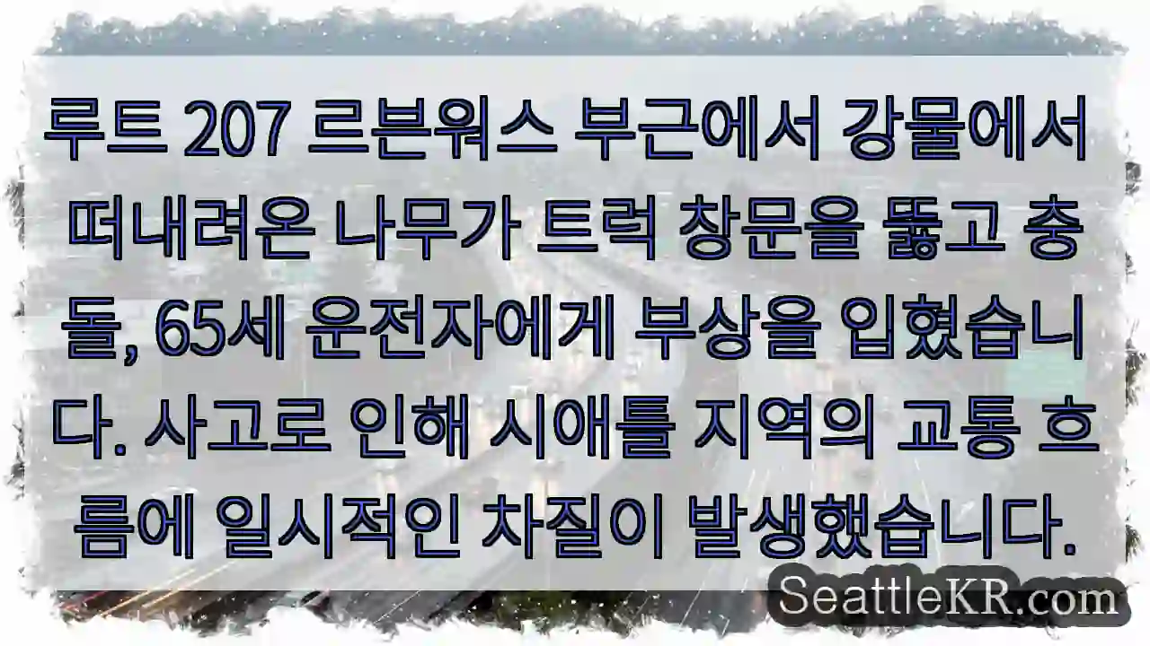 나무 트럭 뚫고 충돌! 부상!